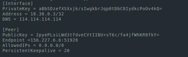 Для подключения устанавливаем клиент Wireguard