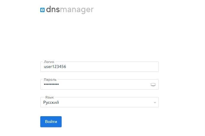 1dns-setup-dnsmanager-1