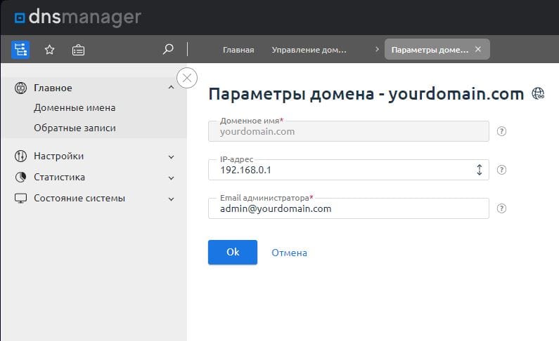 6dns-setup-dnsmanager